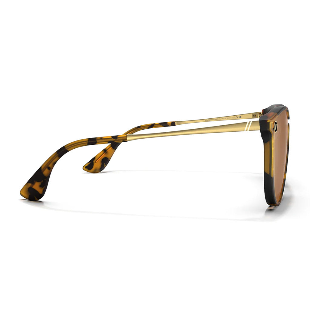 Blender Sunglasses - North Park X2 - Brandy Night